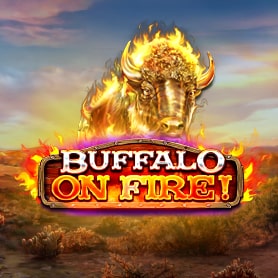 Buffalo on Fire